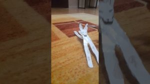 бумажные собаки⚡