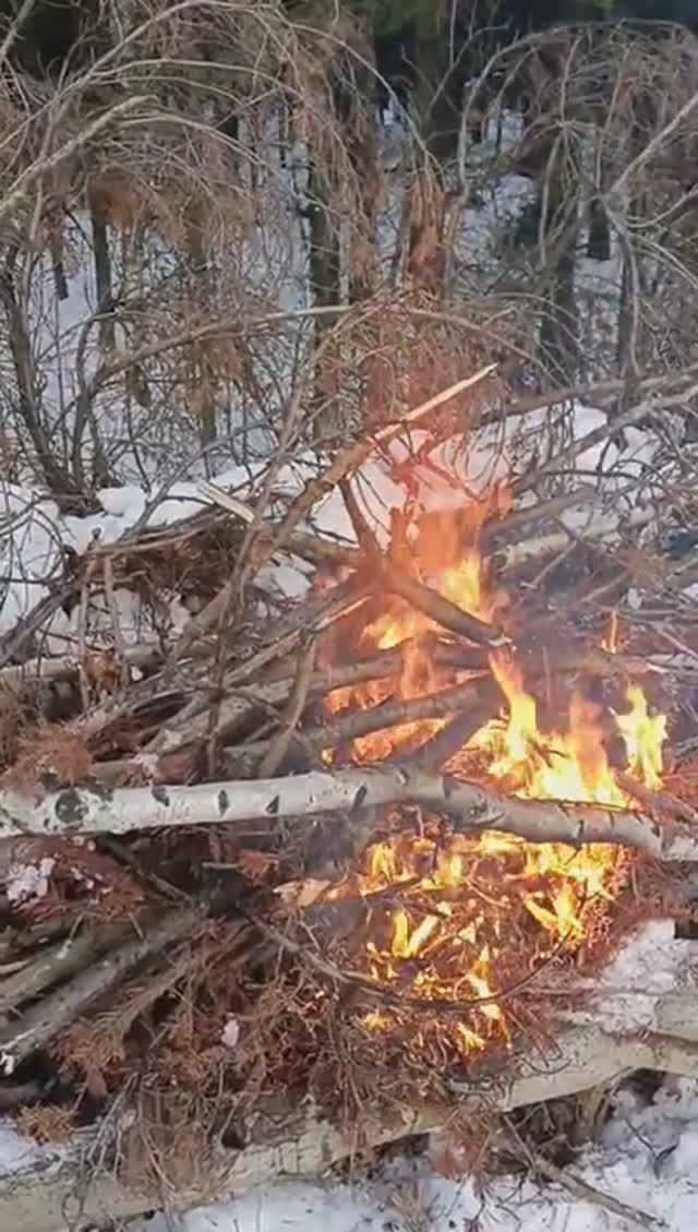 Выживалово. Школа Сенсея. Замёрз на трассе и развёл кастрик на обочине, чтобы выжить.