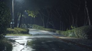 Звук дождя для сна и исцеления 🌧️ Успокойся и избавься от бессонницы
