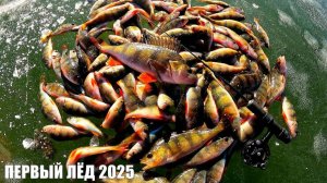 ПЕРВЫЙ ЛЕД 2025-2026 и БЕШЕНЫЙ КЛЁВ РЫБЫ! ПОДВОДНЫЕ СЪЁМКИ!