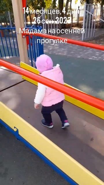 14 мес.,4 дн.Мадама на прогулке.(26 сен.2023).mp4