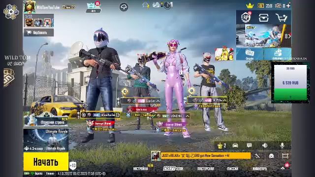 LIVE: WildTom_YouTube