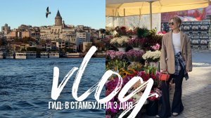 ВЛОГ ИЗ СТАМБУЛА | что посмотреть, где жить и что есть за 3 дня / цены, транспорт и наш маршрут