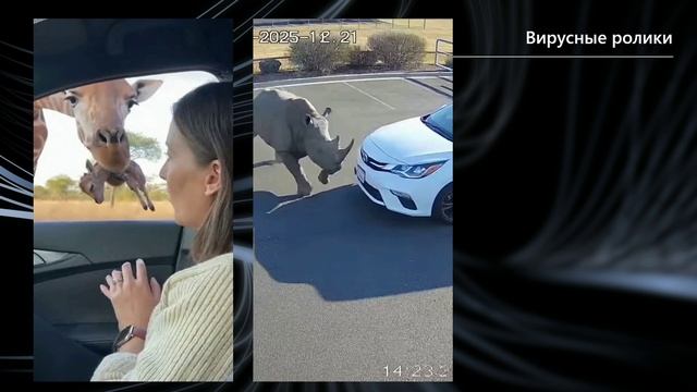 Nano Banana Pro, Sora 2, ComfyUI