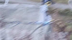 VID_20251205_100547_846