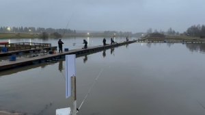 Пополнение акватории форелью !!!