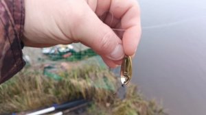 VID_20251205_100658_935