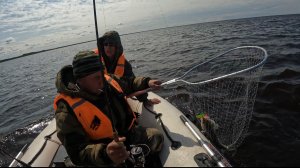 Зачетный Судак! Рыбалка с лодки !#лето2025#fish#судак