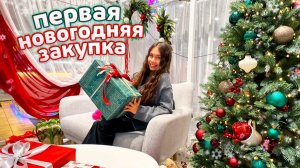 минус 20 000 рублей🤑 Первый НОВОГОДНИЙ ШОПИНГ 🎄🎅🏼