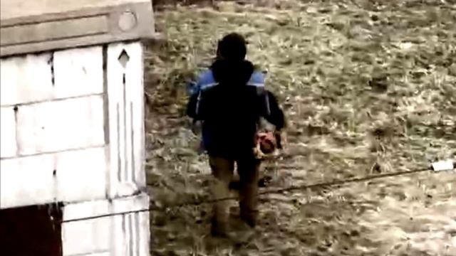 Омск ноябрь косим траву