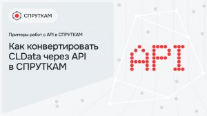 Как конвертировать CLData через API в СПРУТКАМ