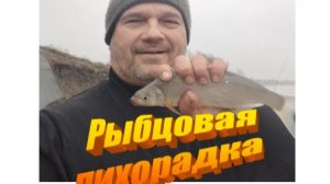 Осенний Донской рыбец. Рыбцовая лихорадка продолжается