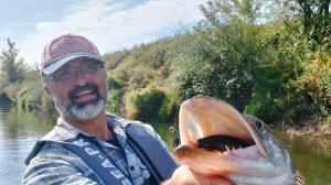 Щука на джиг и свимбейты. Сплавы осенью по малой реке