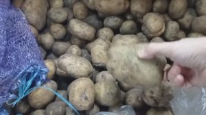 АЖИОТАЖ в _Светофоре_ Люди раскупают продукты Дешевле!