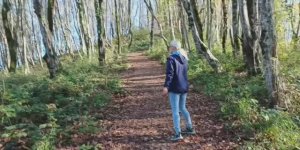 Куда сходить в Сочи зимой? Покоряем гору Бытха 🏔️ Живописные виды, старый терренкур, походы в Сочи