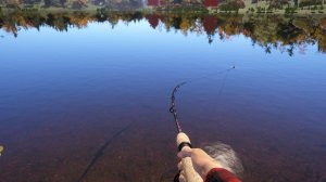 Русская рыбалка 4 Отличный клёв.