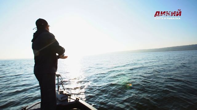 Ловля хищных рыб. Берш. На креатуры