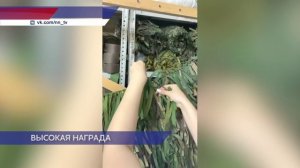 Нижегородец Денис Лукиных стал победителем Международной премии #МЫВМЕСТЕ