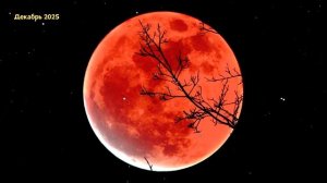 ПОСЛЕДНЕЕ СУПЕРЛУНИЕ 2025 ГОДА