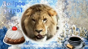 Доброе утро!
