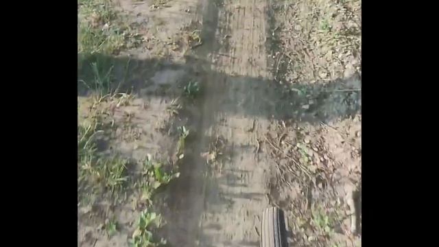 Панькин Егор МБОУ Школа  188  г.Нижний Новгород