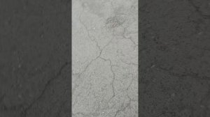 иду домой с прогулки вместе с подругой