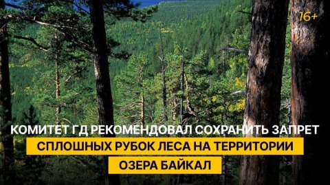 Комитет ГД рекомендовал сохранить запрет сплошных рубок леса на территории озера Байкал