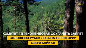 Комитет ГД рекомендовал сохранить запрет сплошных рубок леса на территории озера Байкал