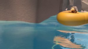 Смотреть онлайн Кокоша — маленький дракон Приключения в джунглях Coconut the Little Dragon 2 Into th