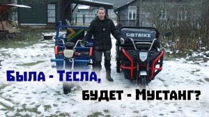 Спустя пять лет решили поменять аккумуляторный грузовой трицикл!