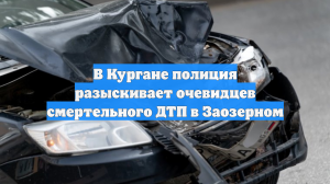 В Кургане полиция разыскивает очевидцев смертельного ДТП в Заозерном
