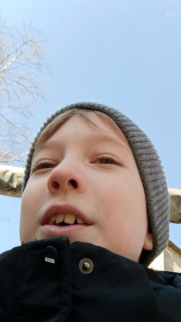 Почему заблокировали роблокс?