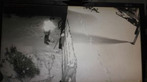 Выход утром на свой пост благословения двух потоков транспорта  12 11 2025