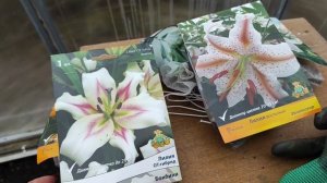 2.ДАЧА . 😁ОТКРЫТИЕ СЕЗОНА. 2 часть(06.04.21)