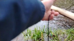 Рыбалка на экранчики