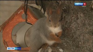 Вести-Томск, выпуск от 04.12.2025 21:10