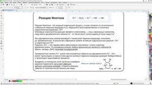 Вихревая медицина - Синергия жизни (23,11,2025) Часть 1 - А. Мишин