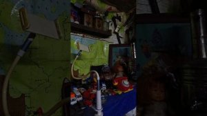 пробный стрим