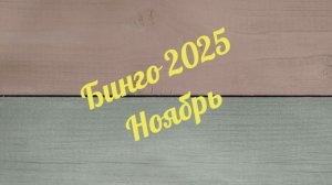 Бинго 2025. Ноябрь.