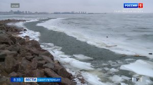 Вести Санкт-Петербург. Выпуск 08.35 от 05.12.2025