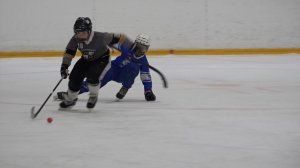 Мяч вместо шайбы: как прошел турнир по мини-хоккею