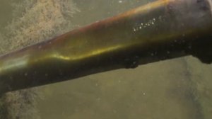 Как водолазы ЦПИ РГО обследовали легендарный истребитель «Харрикейн»_ Отражение балтийского неба (1)