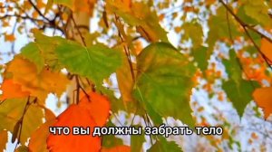 Увидев, что жена пошевелила пальцами, муж обомлел...