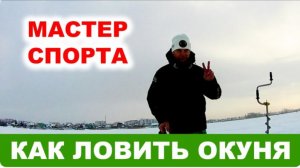 Как ловить Окуня зимой на блесну Советы начинающим рыбакам