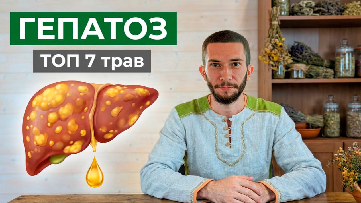 Жировой гепатоз. Полный разбор причин + готовый фитосбор из 7 трав