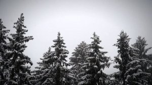 5 декабря - Главная пятница года. Узнайте правду своей судьбы.