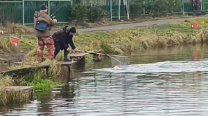 VID_20251205_135033_652