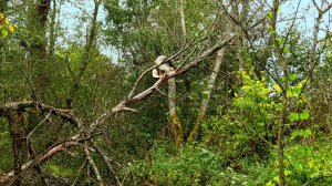Тепло в начале осени