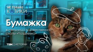 Бумажка в художественной школе / «Не только котики»