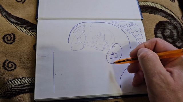 Как разум блокирует подселёный ум [ Философия Вань К ]